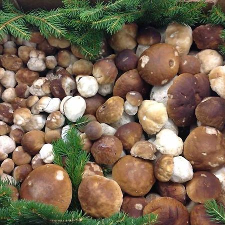 Charmantes Landhaus Mit Garten Und Traumhaftem Fernblick Thal  Ngoại thất bức ảnh