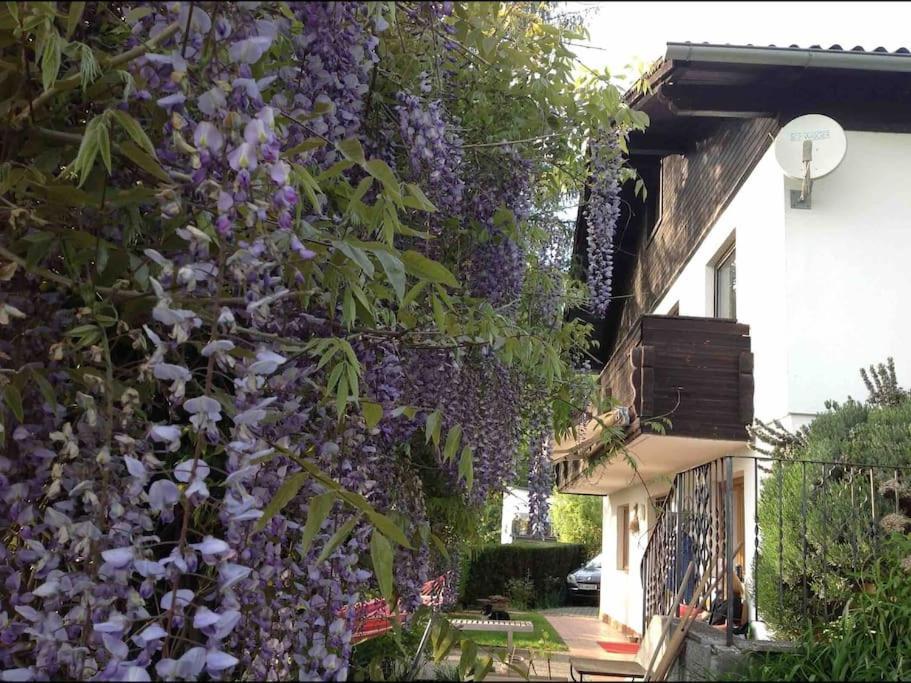 Charmantes Landhaus Mit Garten Und Traumhaftem Fernblick Thal  Ngoại thất bức ảnh