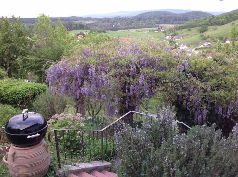 Charmantes Landhaus Mit Garten Und Traumhaftem Fernblick Thal  Ngoại thất bức ảnh